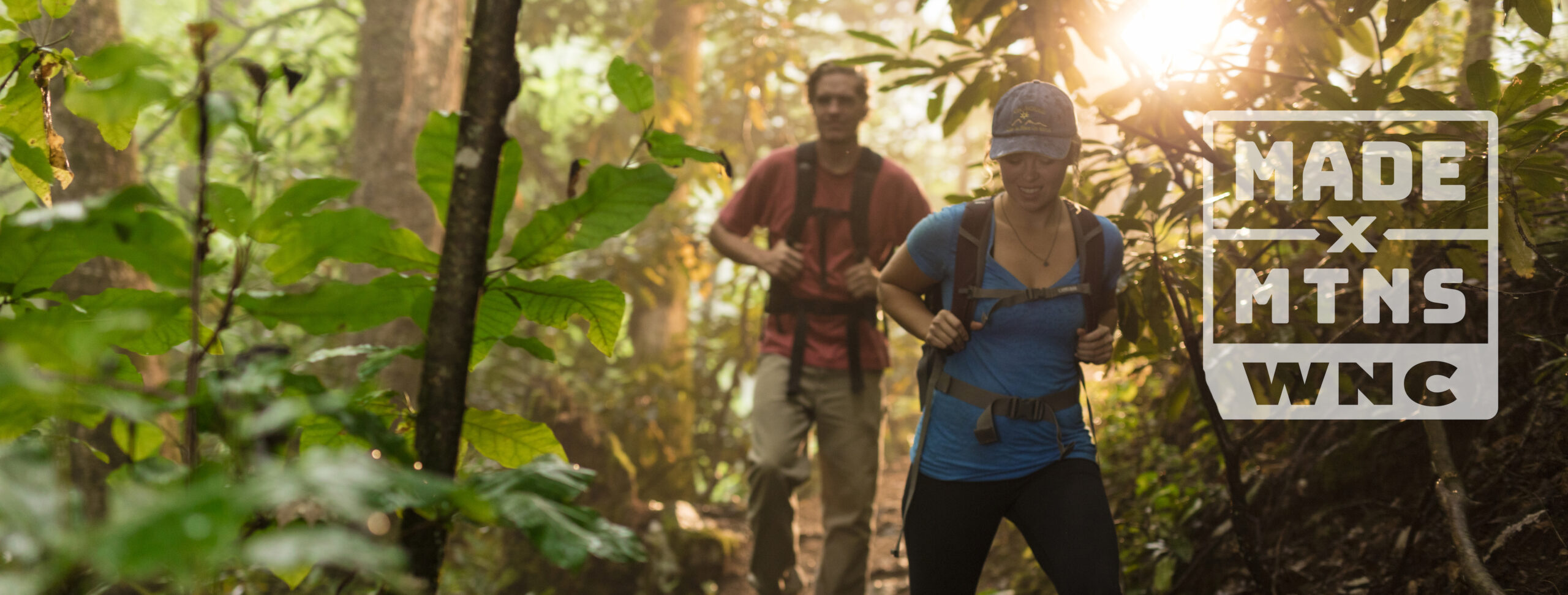 Lush forest trails / Eastern Band of Cherokee Indians