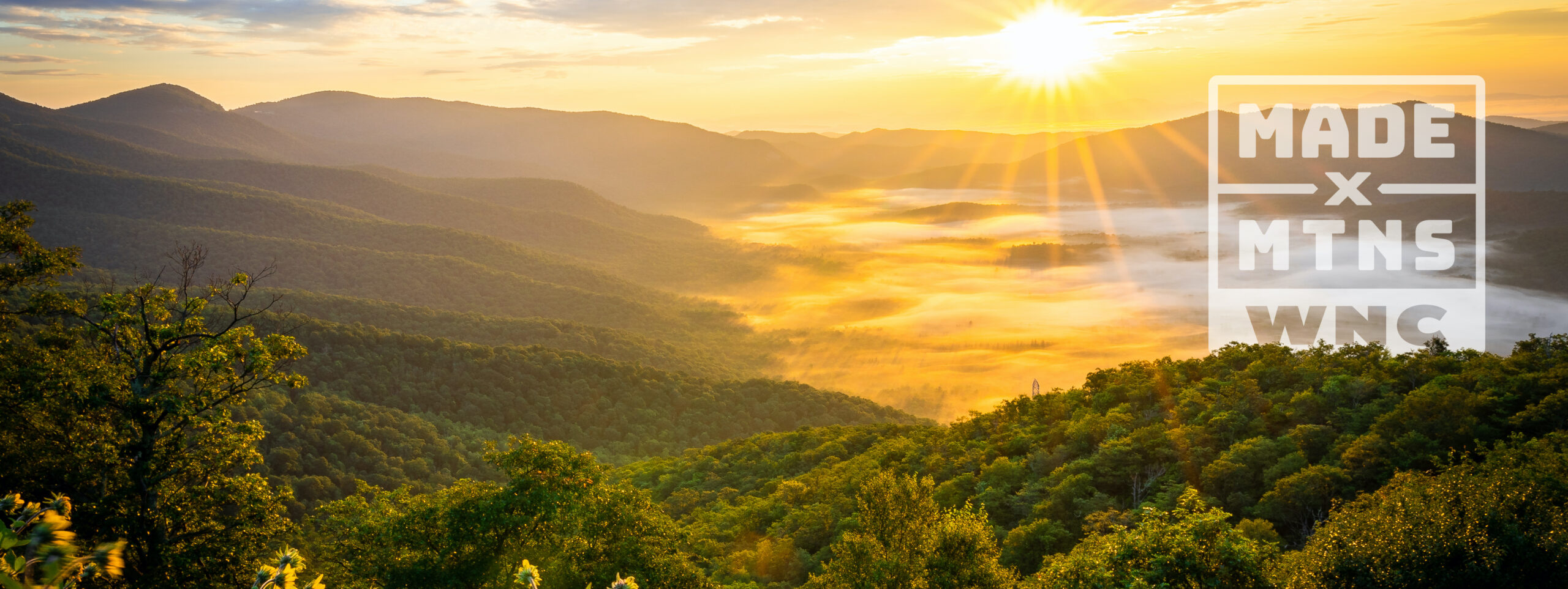 The Blue Ridge Parkway near Mount Pisgah / Matt Canter
