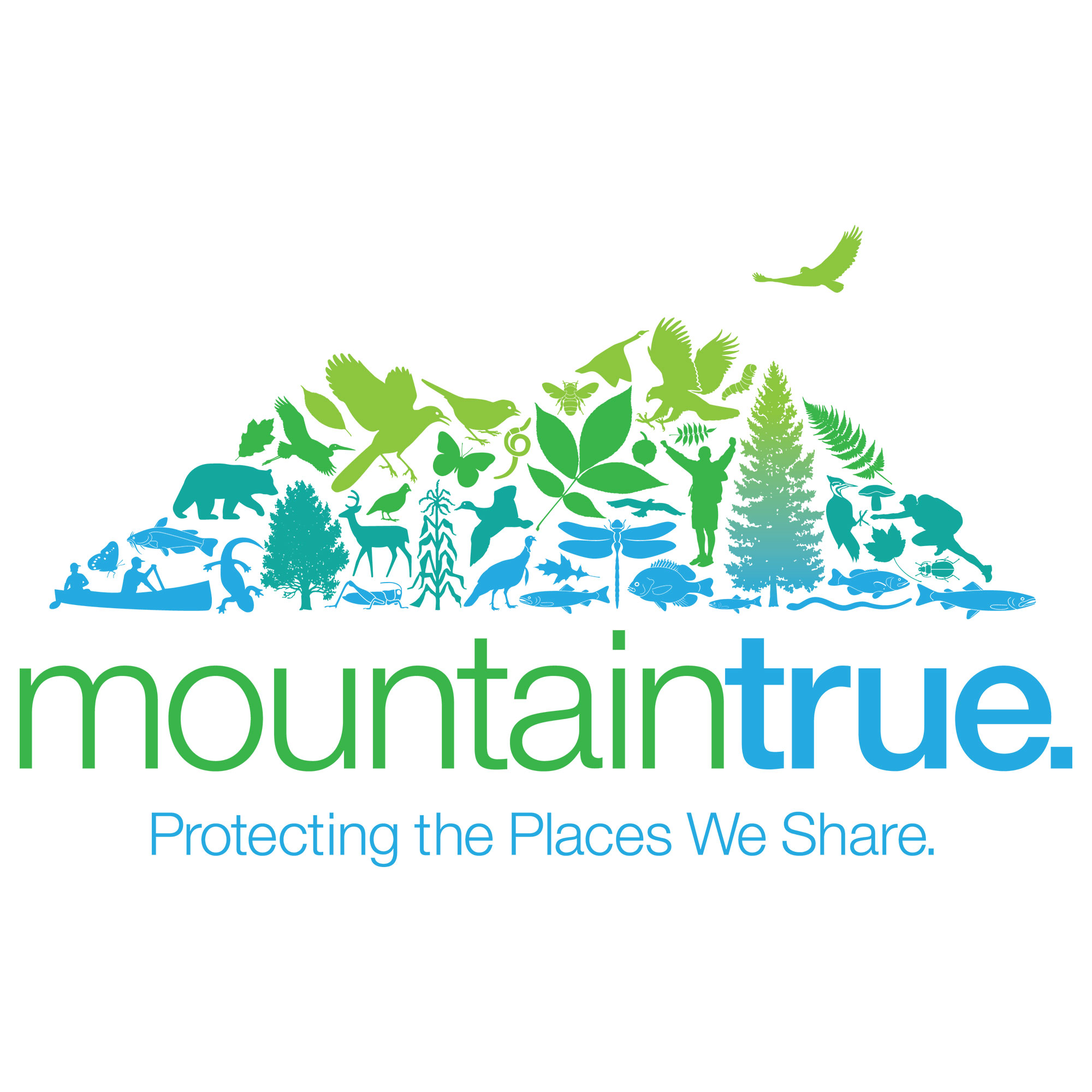 MountainTrue logo