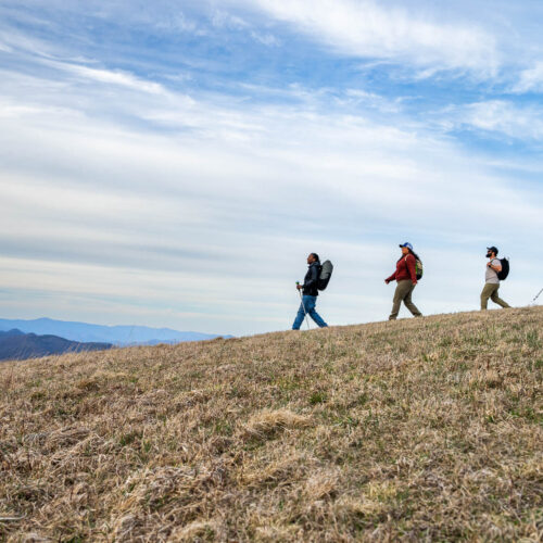 Hiking near the Cabins at Sandy Mush Bald.