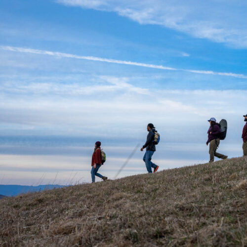 Hiking near the Cabins at Sandy Mush Bald.