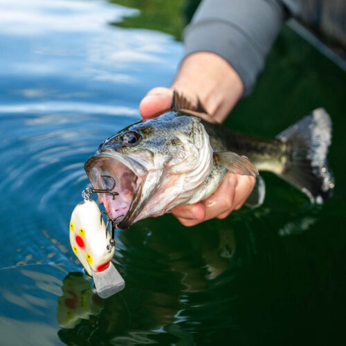 MxM fishing at Wolf Lake.