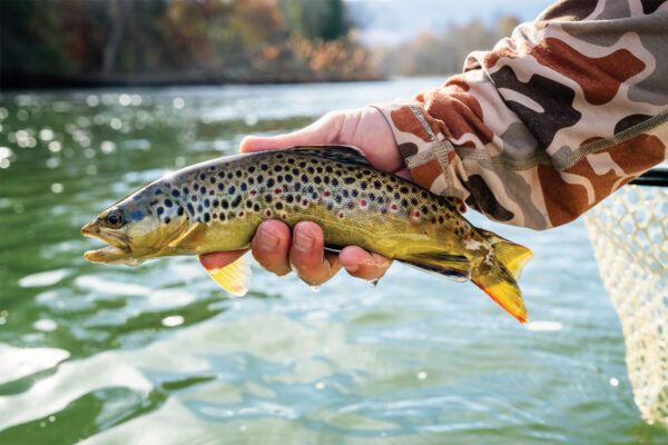 High Country Guide Service | Guided Fly Fishing