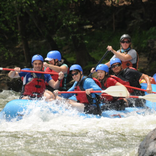 French Broad River Section 9