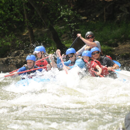 French Broad River Section 9 Rafting