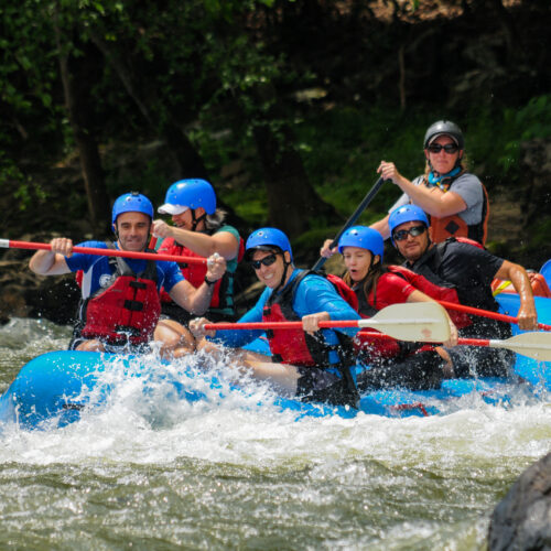 French Broad River Section 9
