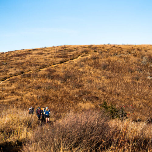 Go with a guide, Blue Ridge Hiking Co