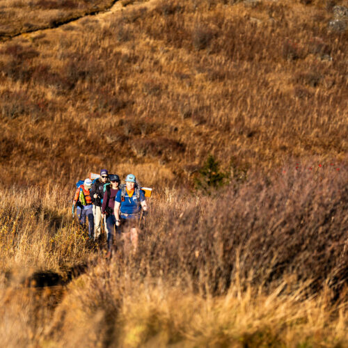 Go with a guide, Blue Ridge Hiking Co