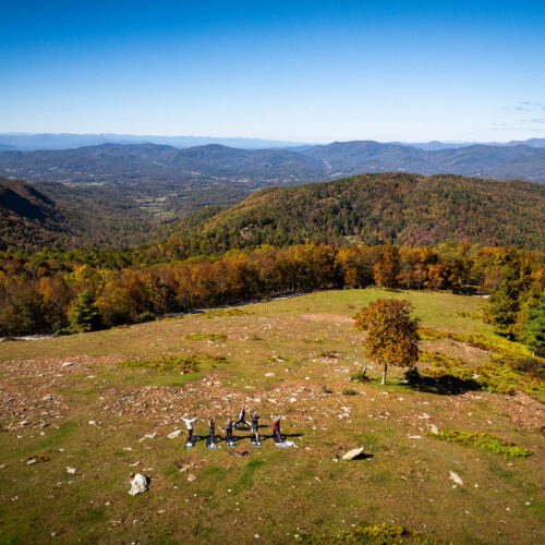 Go with a guide, AVL Wellness Tours