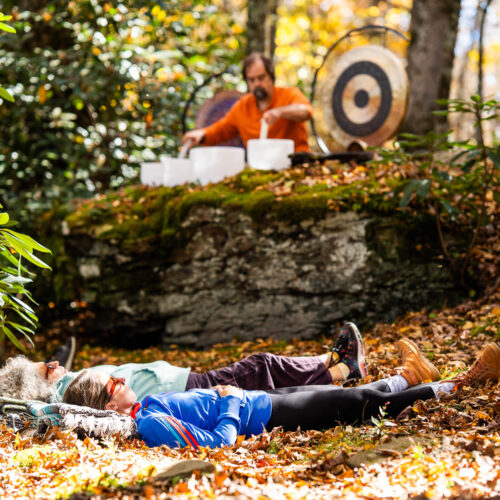 Go with a guide, AVL Wellness Tours