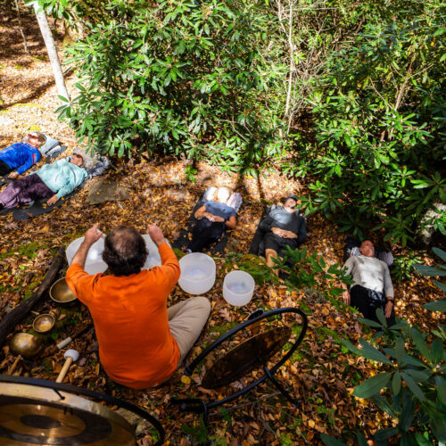 Go with a guide, AVL Wellness Tours