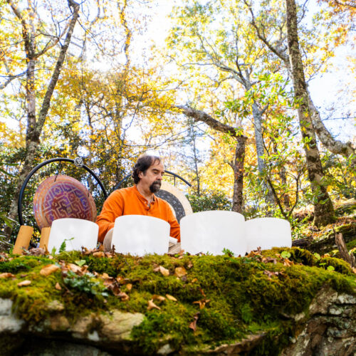 Go with a guide, AVL Wellness Tours