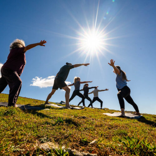 Go with a guide, AVL Wellness Tours