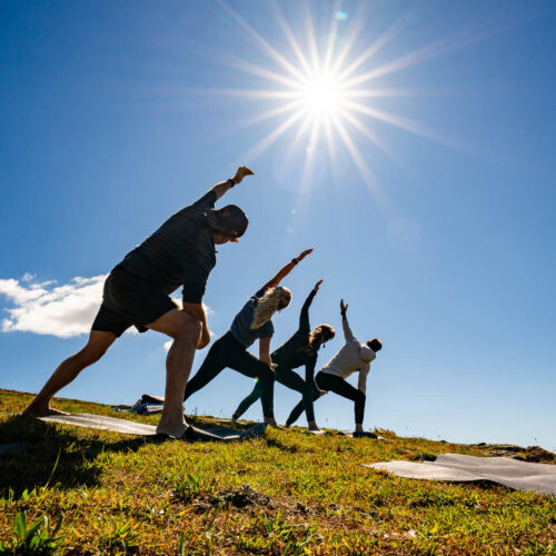 Go with a guide, AVL Wellness Tours