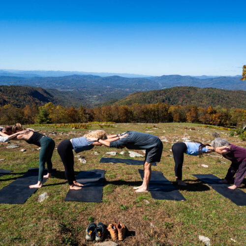 Go with a guide, AVL Wellness Tours