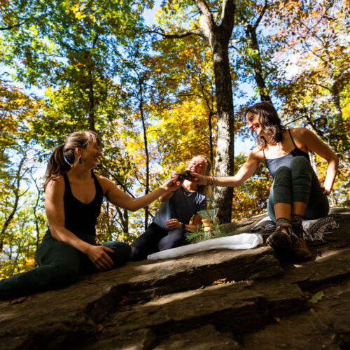 Go with a guide, AVL Wellness Tours