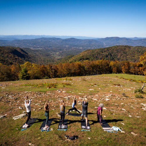 Go with a guide, AVL Wellness Tours
