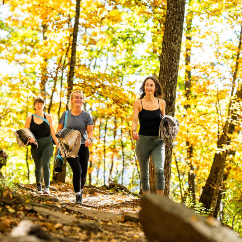 Go with a guide, AVL Wellness Tours