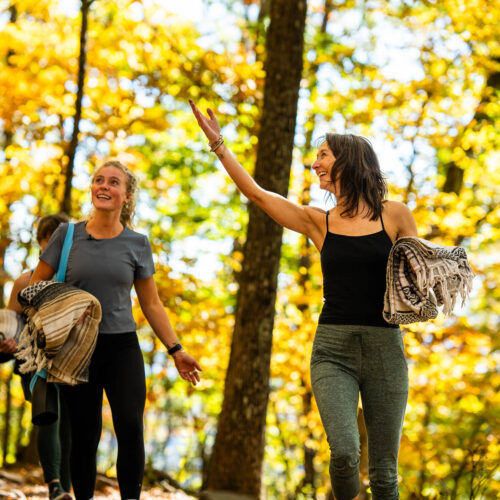 Go with a guide, AVL Wellness Tours
