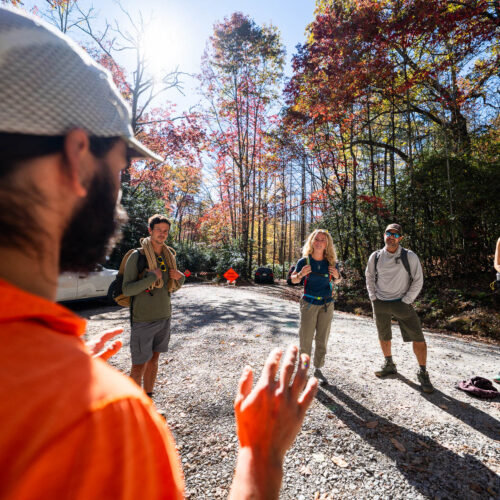 Go with a guide, Fox Mountain Guides