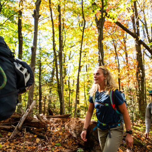 Go with a guide, Fox Mountain Guides