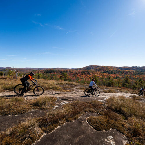 Go with a guide, MTB Skills Factory