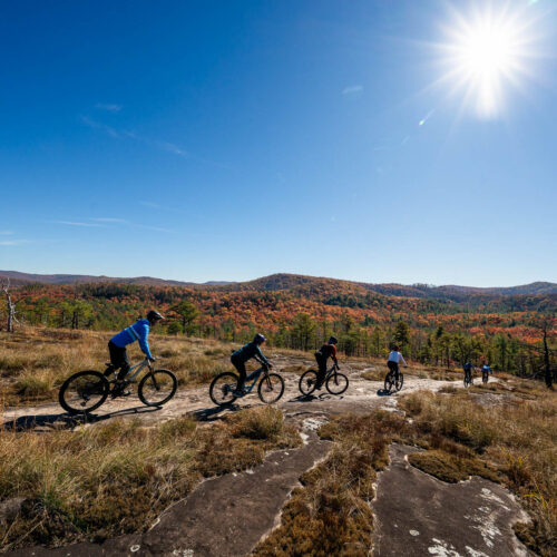 Go with a guide, MTB Skills Factory