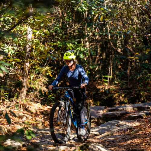 Go with a guide, MTB Skills Factory