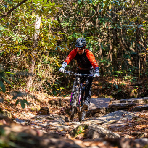 Go with a guide, MTB Skills Factory