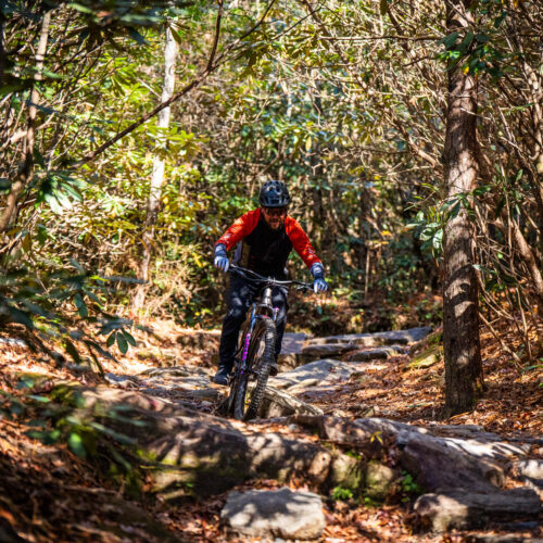 Go with a guide, MTB Skills Factory