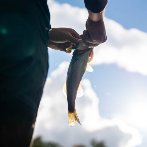 MxM fishing at Wolf Lake.