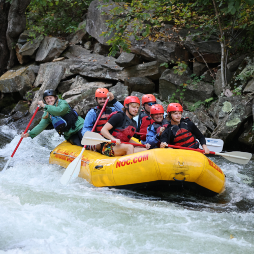 NOC MadeXmtns Image (1)