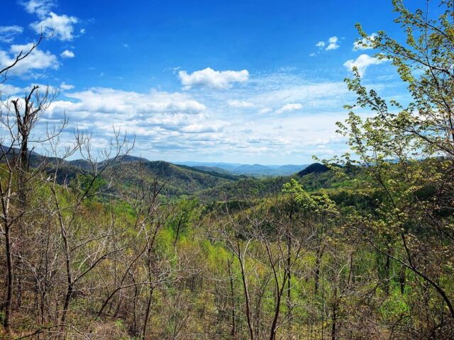And just like that, the landscape is bright green once more. We hope you’re enjoying this gorgeous Easter weekend outside with friends and family, whether on the trail, the river or lake, at your local park or in your own backyard! 

#madexmtns #spring #wnc #wncmountains #springisintheair