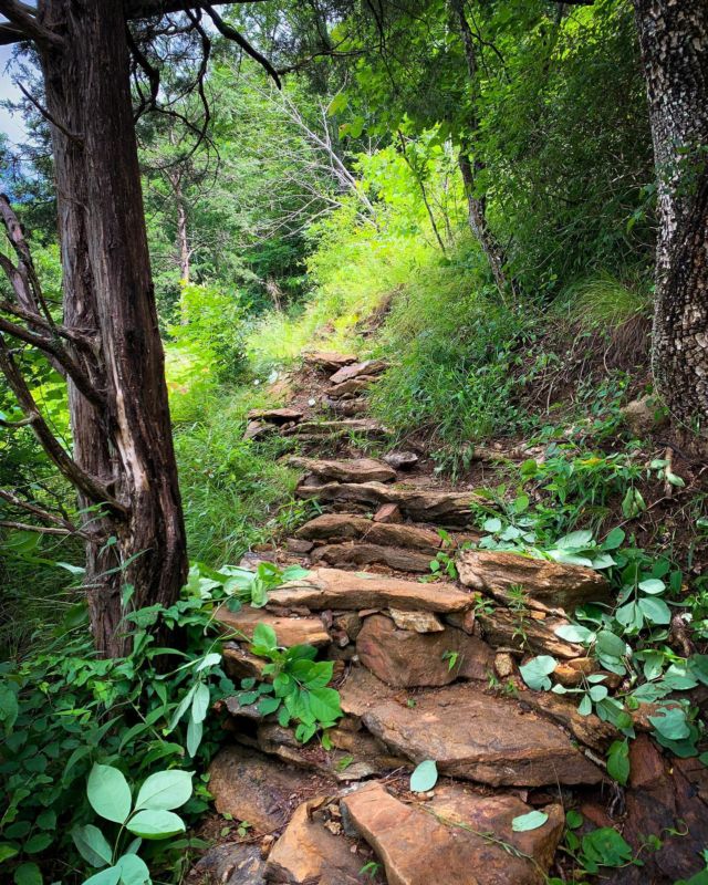 Whether traveling on feet or wheels, we hope you enjoyed celebrating #nationaltrailsday on the trail in Western North Carolina this weekend!

#madexmtns #wnc #trailsday #happytrails