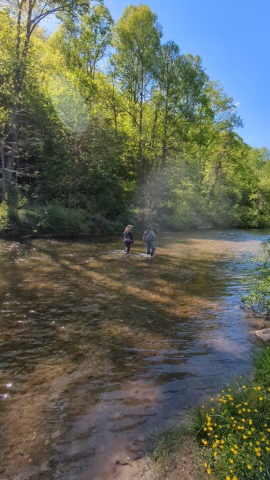 It's always a fun day filming MADE X MTNS Stories! Thanks to @headwaters_outfitters for hosting us this week. Special thanks to Director of Headwaters' Operations and @pisgahareawomensflyfishing co-founder, Jessica Whitmire, and Inclusion and Associate Engagement Business Partner at @orvis, Sav Sankaran, for sharing with us parts of their own life stories, and how these mountains have shaped their lives, careers, and passion for both WNC fishing and the health of our mountain waterways. 

We couldn't capture authentic and visually stunning stories without the talents of film team @robb_leahy & @johndupre. We can't wait for the full story to take shape this summer...stay tuned! 

#madexmtns #wnc #wncmountains #wncstories #outdoornc #ncoutdoors #wncoutdoors #wncflyfishing #ncflyfishing #rosmannc #headwatersoutfitters #orvis #wncfishing #flyfishing #troutfishing #westernnc #mountaintrout