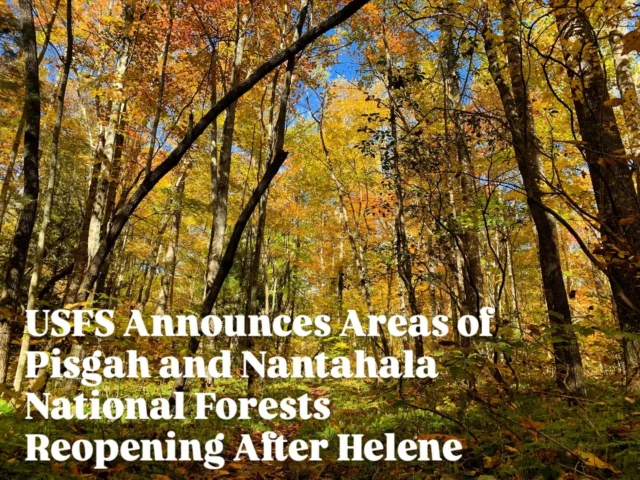 A little glimmer of good news to end our week - the @u.s.forestservice has announced The Pisgah National Forest will reopen the Pisgah Ranger District effective Friday, October 18, 2024, in coordination with local communities and governments. While crews continue to work throughout the district clearing debris and repairing roadways and trails, the USDA Forest Service urges the public to use extra caution when visiting the area.

In addition, in Nantahala National Forest, continuing initial response and assessment activities are underway, but the following areas are open for recreation in Nantahala National Forest as of October 11, 2024:

On the Cheoah Ranger District:
- All developed recreation sites, trails and roads

On the Nantahala Ranger District:
- All developed recreation sites, trails and roads, with the exceptions of: Appletree Group Campground, Balsam Lake Lodge, Wayehutta OHV Trail System, Wine Springs Horse Camp, Rainbow Springs Road, FSR 437, Van Hook Campground, and Cliffside Recreation Area

On the Tusquitee Ranger District:
- All developed recreation sites, trails and roads

An important reminder: Closures remain in effect for the Appalachian and Grandfather Ranger Districts of the Pisgah National Forest.

Thank you to the USFS and partners who have so quickly assessed and made available outdoor recreation opportunities in WNC. For the livelihoods and the health of many, we need our outdoor spaces more than ever.

#madexmtns #wnc #wncoutdoors #outdoornc #ncoutdoors #wwsternnc #usfs #usforestservice #pisgah #pisgahforest #pisgahnationalforest #pisgahrangerdistrict #nantahala #nantahalanationalforest #nantahalarangerdistrict #nantahalaforest #helene