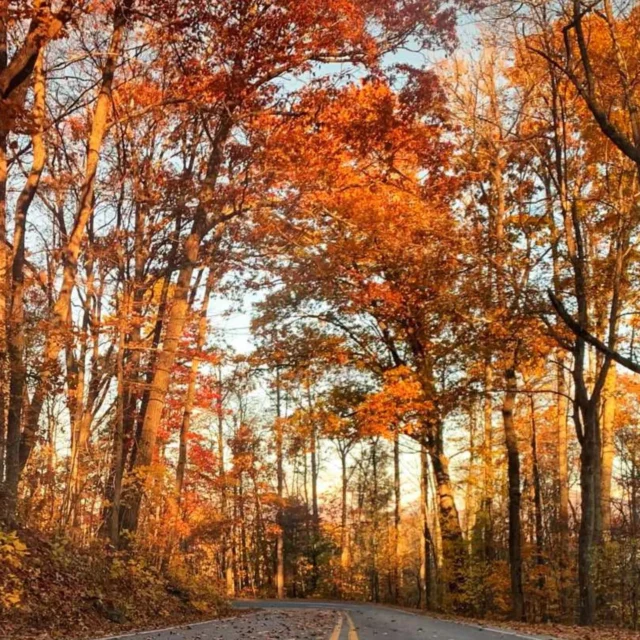 If you need to take a breather outdoors today, an 11 mile stretch of the Blue Ridge Parkway through the Asheville corridor has reopened.

From the @blueridgenps:
"On Wednesday morning, Nov. 6, 2024, the National Park Service restored access to approximately 11 miles of the Blue Ridge Parkway, within the Asheville corridor, from milepost 382.5, at US 70 near the Folk Art Center, to milepost 393.6, at NC Route 191 near the NC Arboretum, including the French Broad Overlook at milepost 393.8.
 
The Asheville Visitor Center, at milepost 384, will now resume year-round operations daily from 9:00 a.m. to 4:30 p.m. Folk Art Center operations, at milepost 382, are scheduled to resume on Saturday, November 9. Trails in this section of the Parkway are also open but extreme caution is advised for trail users who may experience hazards resulting from landslides, downed or leaning trees, washouts, and other damage.
 
Visitors are also asked to avoid parking on the roadside in any location other than official, paved parking areas, as heavy equipment is still active in the area. Since storm recovery began, National Park Service staff and contractors have moved more than 350,000 cubic feet of storm debris from this 11-mile road segment. This volume of woody debris could fill nearly 150 shipping containers.
 
The National Park Service does not yet have projected opening dates for areas of the Parkway immediately north and south of the 11-mile road segment opening today. Ongoing roadway and roadside damage evaluations, significant debris removal, and miles of technical hazard tree work remain north of US 70 and south of State Route 191. The NPS will provide updates on those sections when additional information is available."
 
#wnc #wncoutdoors #ncoutdoors #outdoornc #blueridgeparkway