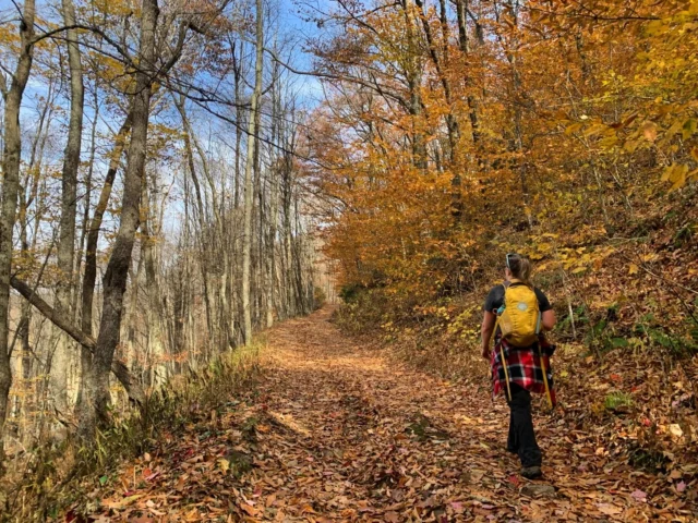 Take a hike...on #nationaltakeahikeday! The @u.s.forestservice, @ncstateparks and their partnering volunteer-powered organizations have been working nonstop to restore access to WNC's public lands after Helene. Here are a few places open to enjoy your #takeahikeday:
🥾 Pisgah Ranger District of Pisgah National Forest
🥾  Cradle of Forestry
 🥾 DuPont State Recreational Forest - partially open - check dupontforest.com for trail closures.
🥾 Headwaters State Forest
🥾 Blue Ridge Parkway: Open from Milepost 405.5 (Elk Pasture Gap) to Milepost 420.2 (Black Balsam). Most trails & trails are open, Campgrounds, picnic areas etc. are closed for the season. MP 382.5 to MP 393.6, including the French Broad Overlook at MP 393.8 and Folk Art Center.
🥾 Bracken Preserve
🥾 Nantahala National Forest
🥾 Lake James State Park - Catawba River + Paddy's Creek Access
🥾 Gorges State Park
🥾 New River State Park - 221 Access
🥾Pilot Mtn State Park
🥾 Grandfather Mtn 
🥾 Stone Mtn
🥾 Bent Creek Experimental Forest

Shout out any additional areas you know are officially open to hikers in the comments! Please double check safe travel routes, pay attention to safety notices, and #leavenotrace! 

#madexmtns #takeahike #wncoutdoors #ncoutdoors #outdoornc