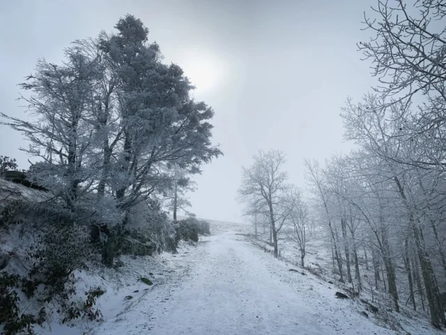 Happy Holidays from our #madexmtns team to you! We're looking at the horizon of an exciting 2025 ahead, full of possibilities for the future of the #outdooreconomy in WNC. Stay safe, stay warm, and be merry! ❤️🌲

#hapoyholidays #wnc