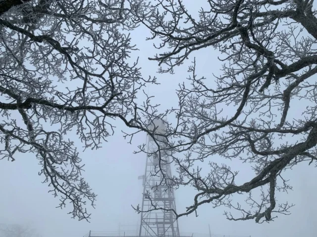 Snow day! ❄️ While its always exciting to get outside and enjoy winter weather, we're also checking in on neighbors to make sure everyone has what they need to stay warm. Stay safe and enjoy the wintry mix! If you can travel safely, it's a GREAT weekend to hit the slopes at any of WNC's 11 #ski and #wintersports destinations! ☃️⛷️🏂